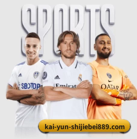 每个板块围绕一个运动项目展开 - 多运动项目内容板块 | Kaiyun Sports