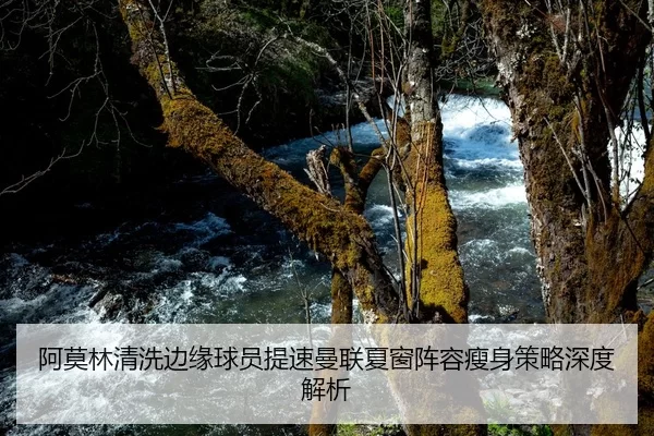阿莫林清洗边缘球员提速曼联夏窗阵容瘦身策略深度解析