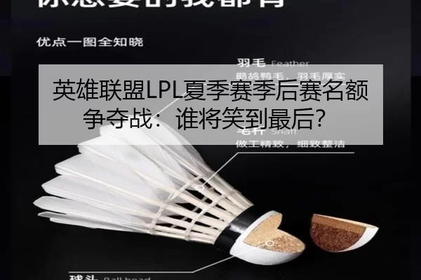 英雄联盟LPL夏季赛季后赛名额争夺战：谁将笑到最后？