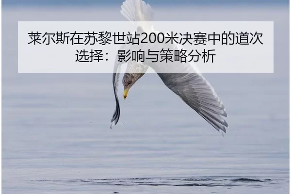 lai-er-si-zai-su-li-shi-zhan-mi-jue-sai-zhong-de-dao-ci-xuan-ze-ying-xiang-yu-ce-lve-fen-xi-2-144.jpg