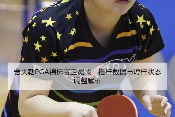 she-fu-lei-jin-biao-sai-wei-mian-zhan-tui-gan-shu-ju-yu-duan-gan-zhuang-tai-tiao-zheng-jie-xi-2-654.jpg